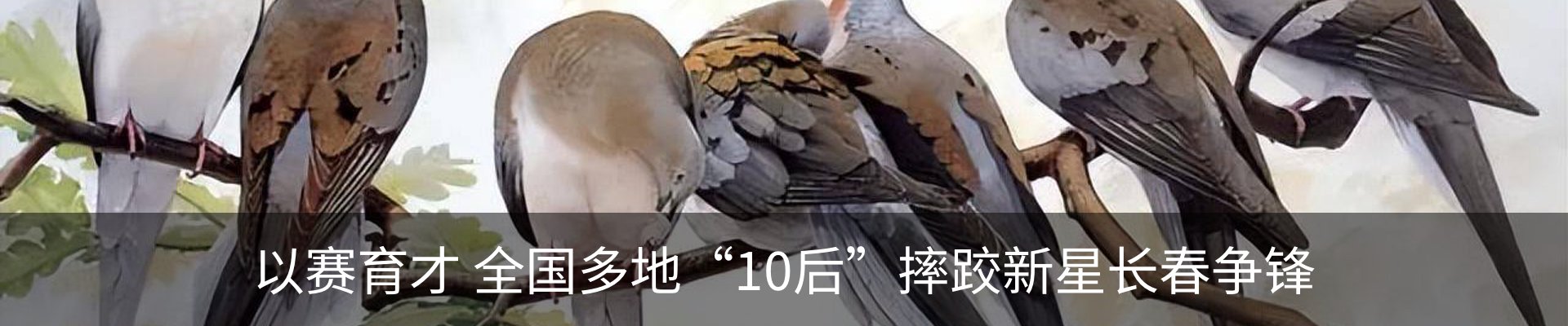新闻中心