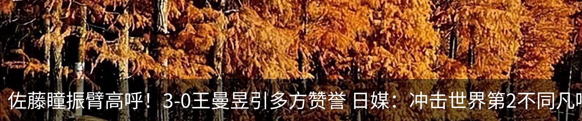 新闻中心