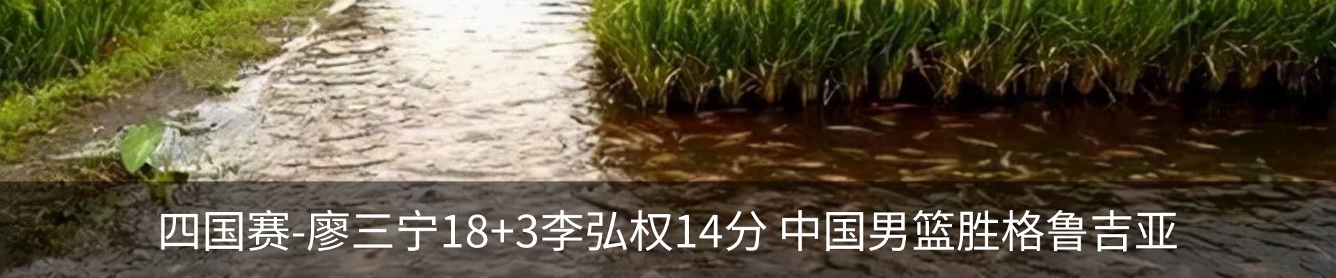 新闻中心