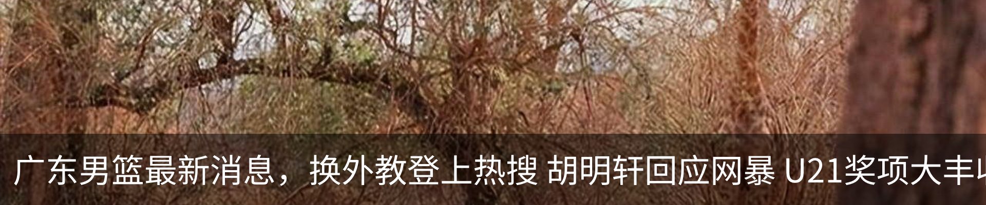 新闻中心