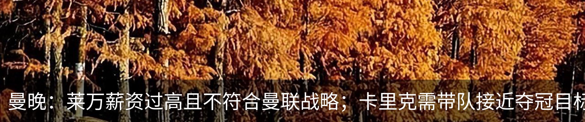新闻中心