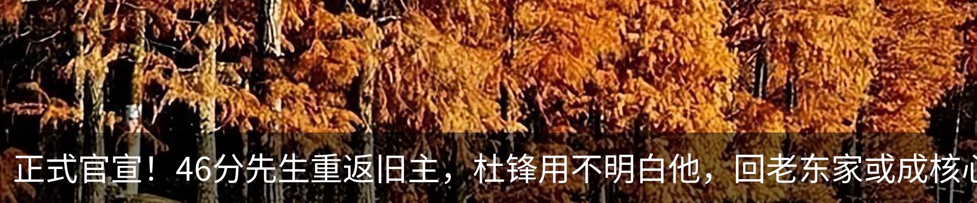 新闻中心