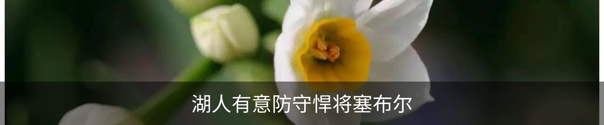 新闻中心