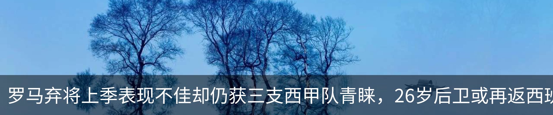 新闻中心