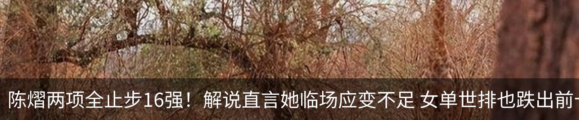 新闻中心